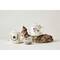 Hello Honey; Hello Honey® Bee Image Cup, Lid, Saucer & Strainer Set; Category:Coffee Mugs & Tea Cups; Image:3